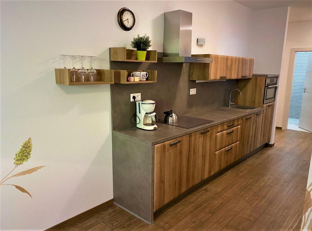 Chopok Juh - Ambiente Apartment 탈레 외부 사진